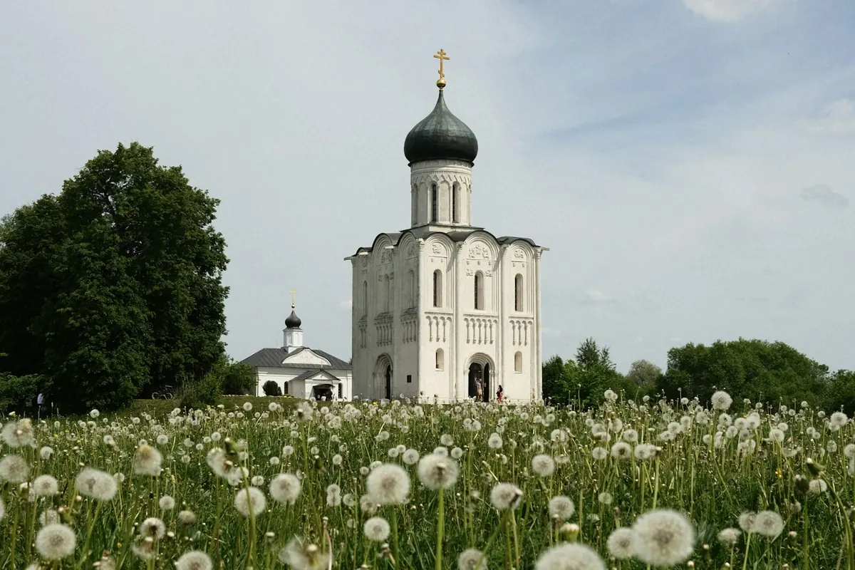 Церковь Покрова на Нерли среди луга с одуванчиками — к храму идут пешком